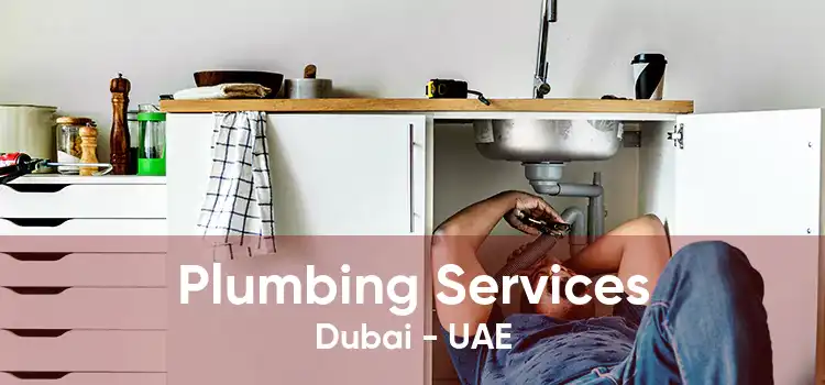 Plumbing Services Dubai - UAE