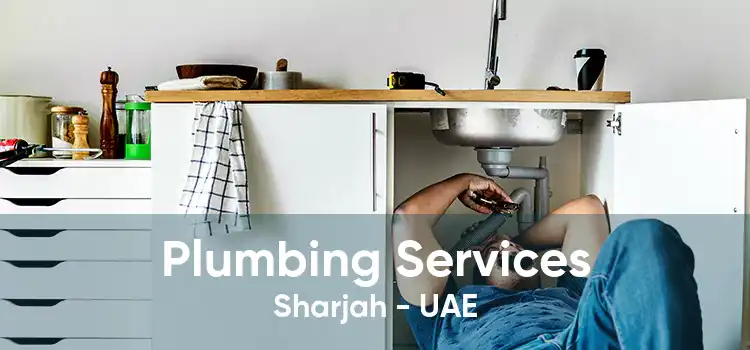 Plumbing Services Sharjah - UAE