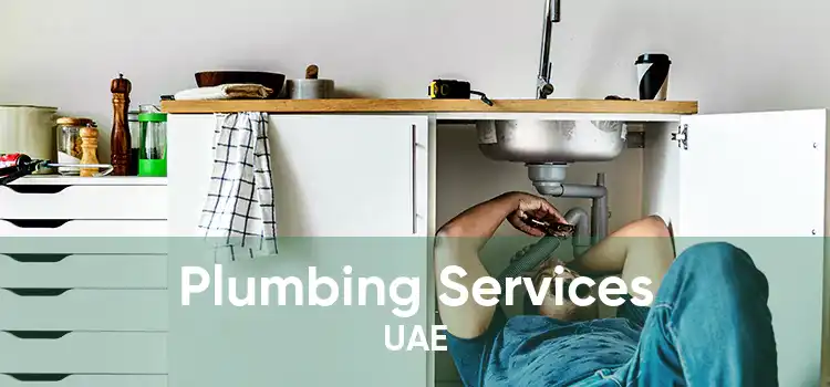 Plumbing Services UAE